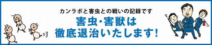 害虫・害獣は徹底退治いたします