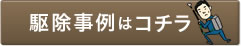 駆除事例はこちら