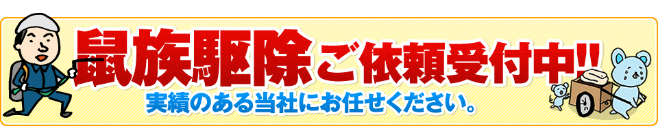 鼠族駆除ご依頼受付中